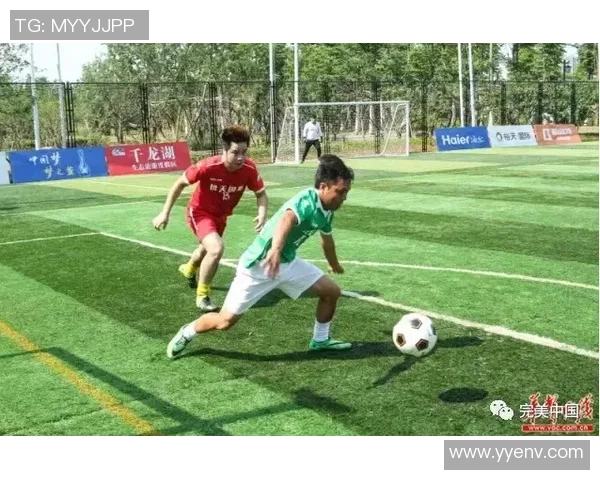 纹燕子与足球明星的奇妙旅程揭示了运动与艺术的完美结合